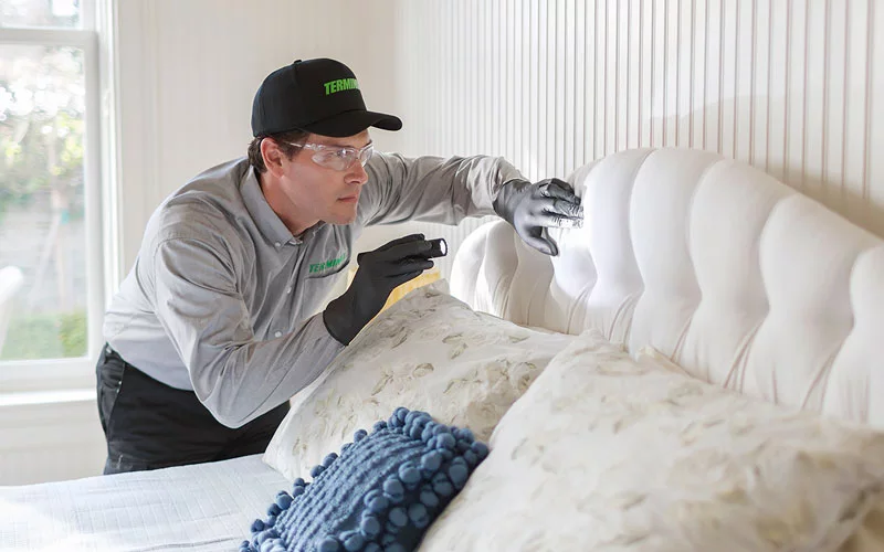 Pest Technician Searching bed for signs of bed bugs