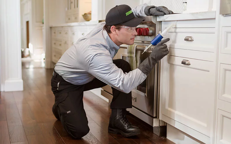 Pest Technician Treating Inside Kitchen