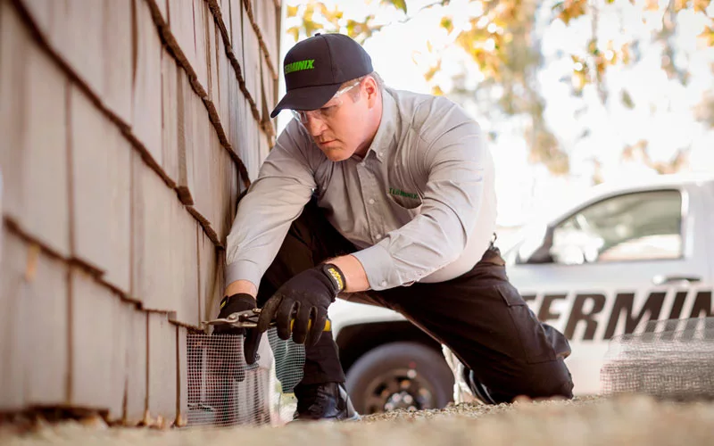 Tech prepping exclusion vent treatment