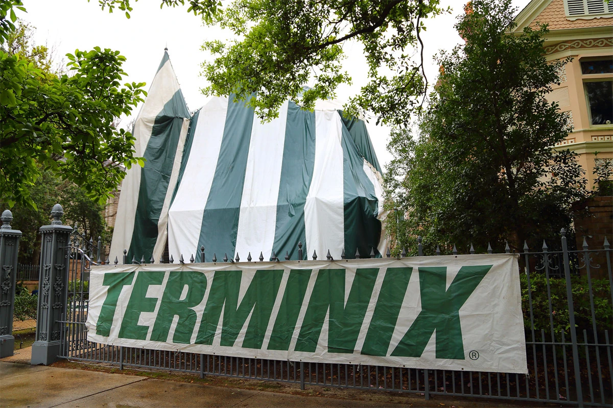 Termite fumigation, house tarped