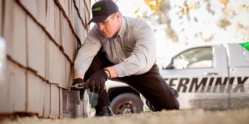 Tech covering vent from rodents