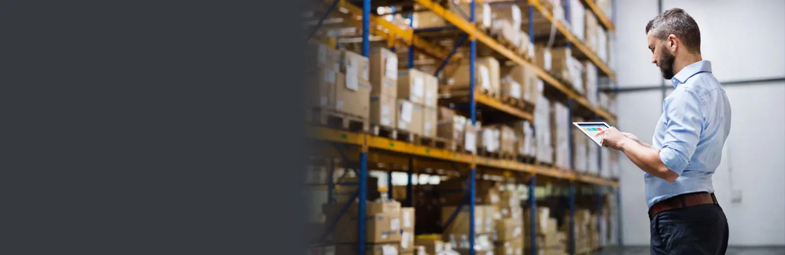 commercial pest control, man standing in a warehouse