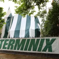 Termite fumigation, house tarped