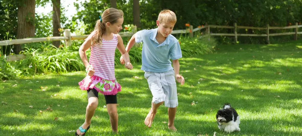 kids playing with dog outside