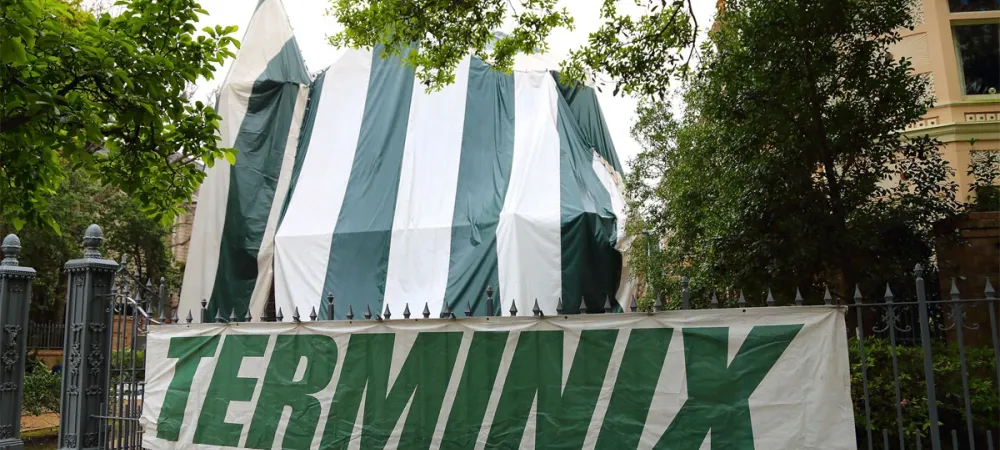 Termite fumigation, house tarped