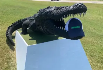 alligator-with-hat