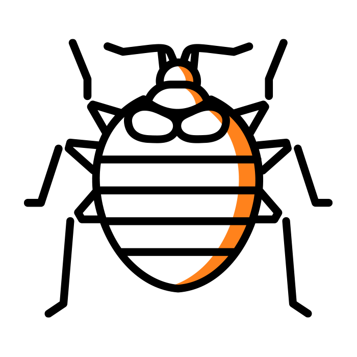 Bed bug icon
