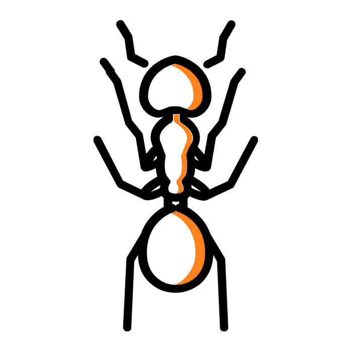 Ant icon