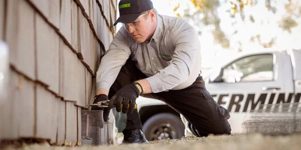 Rodent exclusion, home services