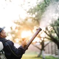 technician spraying for mosquitoes 